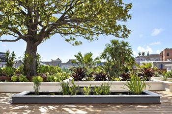 Courtyard area
